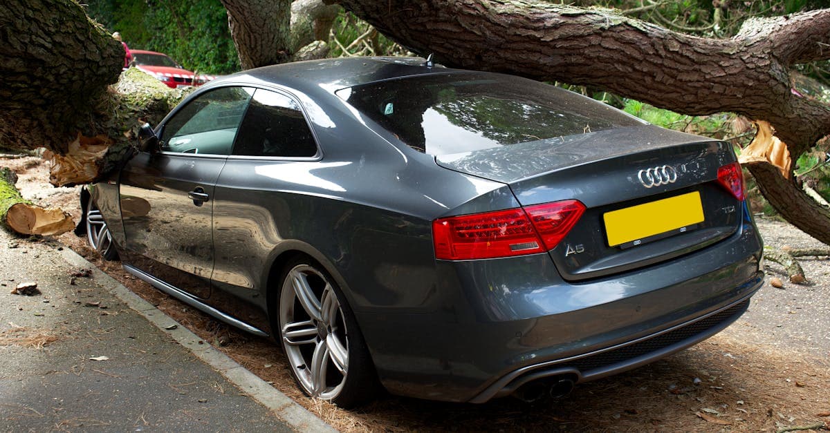 Cover Image for Falling Objects and Comprehensive Insurance: Trees, Debris, and More