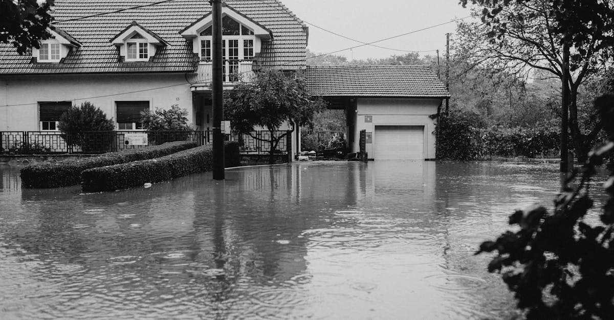Cover Image for Washing Machine Hose Burst: One of the Most Common Water Claims
