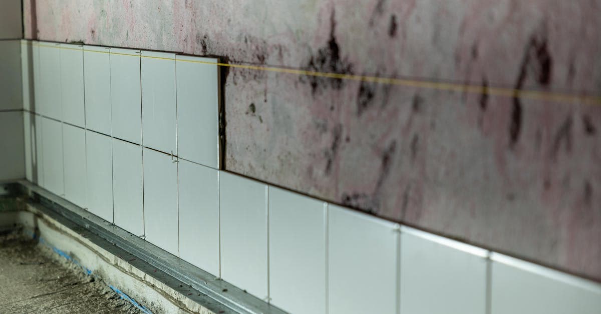 Cover Image for Mold Testing and Insurance Claims: What You Need to Know