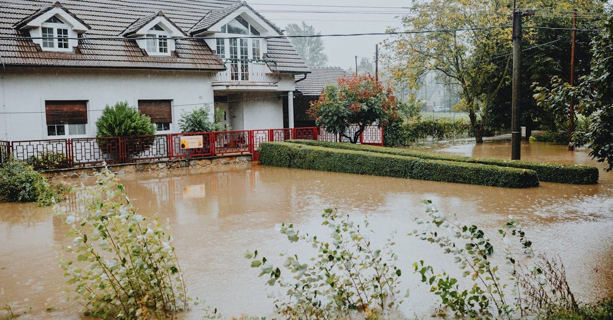 Cover Image for The 30-Day Flood Insurance Waiting Period: What Every Homeowner Should Know
