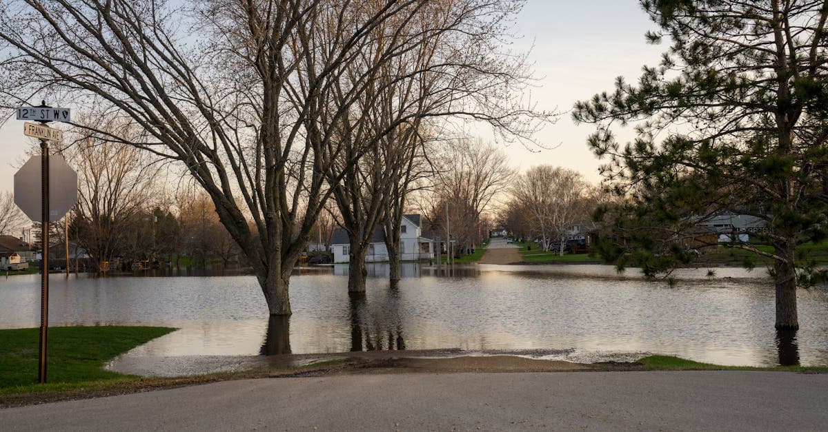 Cover Image for What Flood Insurance Does Not Cover: Key Exclusions to Know