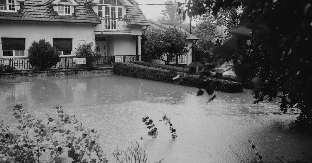 Cover Image for What Flood Insurance Covers That Homeowners Insurance Cannot