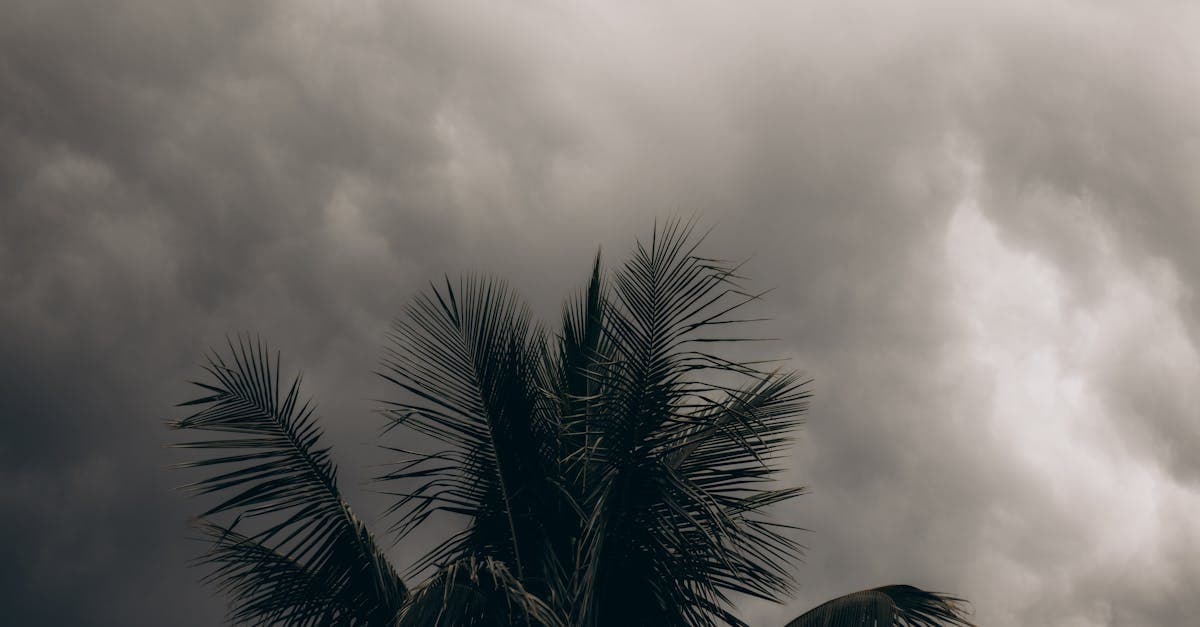 Cover Image for Hurricane Deductible vs Standard Homeowners Deductible: Key Differences