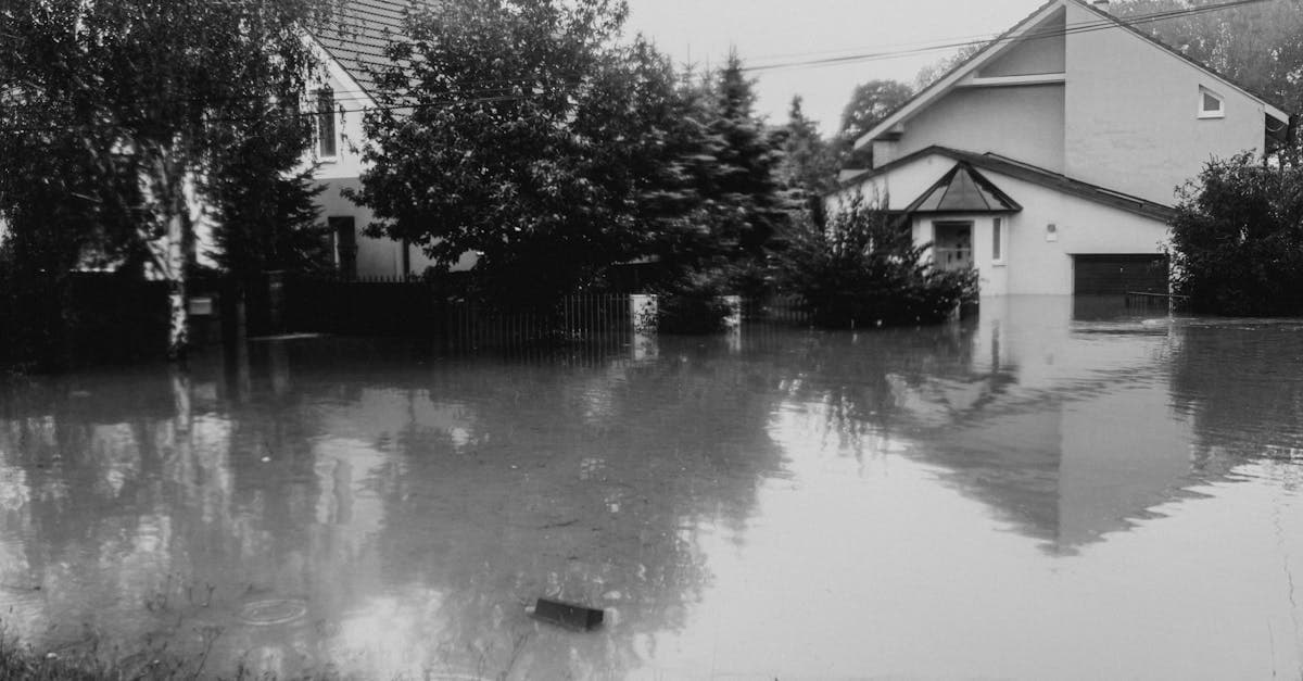Cover Image for Sewer Backup vs Flood Insurance: Different Coverages for Different Water Problems