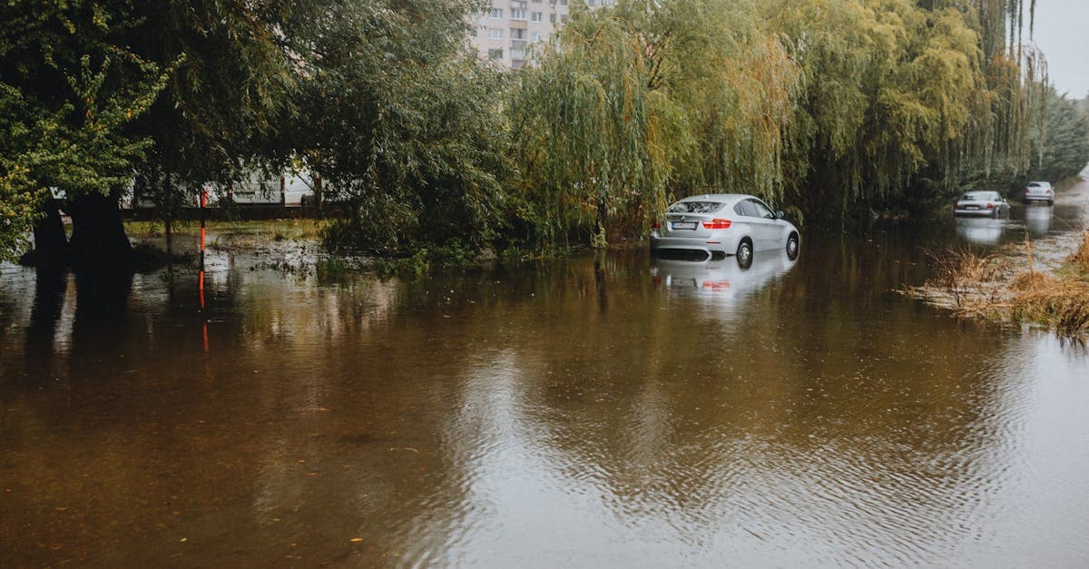 Cover Image for The 30-Day Waiting Period: When to Buy Condo Flood Insurance